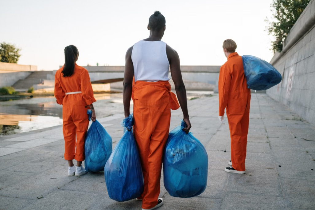 16 On-Site Collection, Packing, and Removal Service for Bulky Waste - Image 1